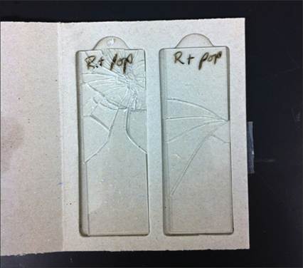 fig1.37.jpg