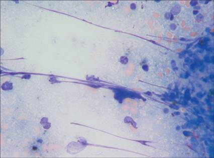 fig1.46.jpg