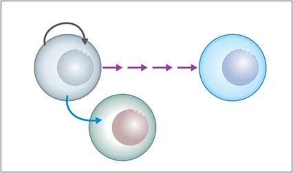 fig2.1.jpg
