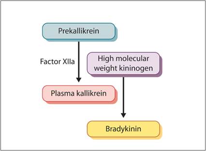fig2.2.jpg