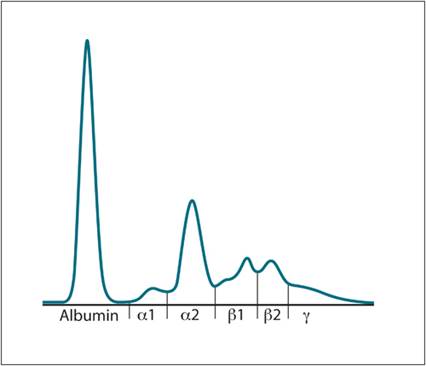 fig2.3.jpg