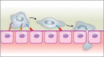 fig2.16.jpg