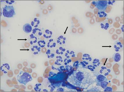 fig2.19.jpg
