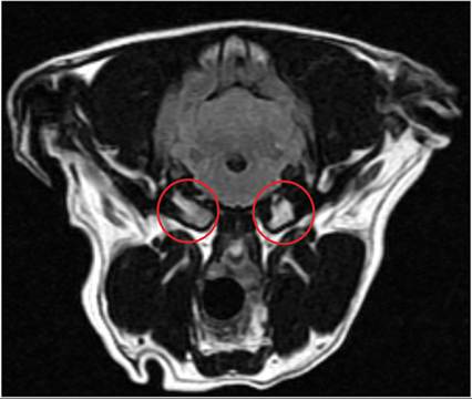 fig18.40.jpg