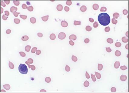 fig19.2.jpg