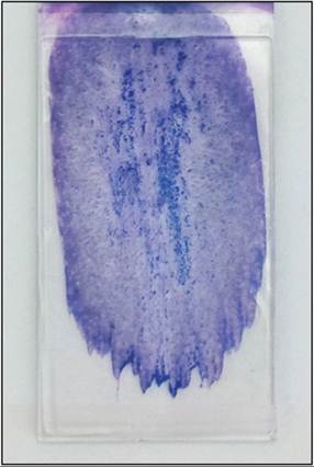 fig19.8.jpg