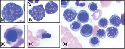fig19.13.jpg