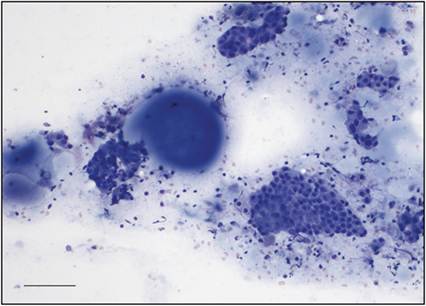 fig4.3.jpg