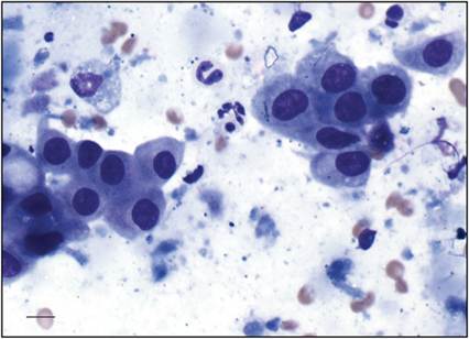 fig4.4.jpg