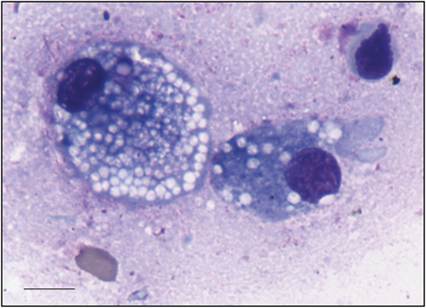 fig4.6.jpg