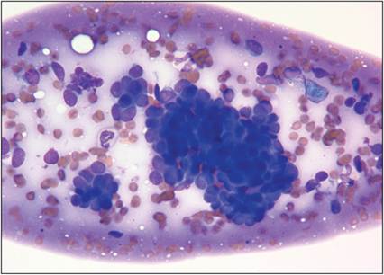 fig4.9.jpg