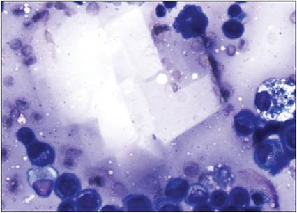 fig4.15.jpg
