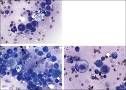 fig4.16a-c.jpg