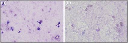 fig4.18ab.jpg