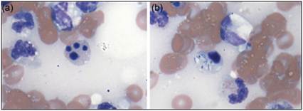 fig4.22ab.jpg