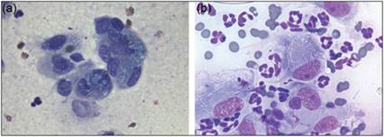 fig4.26ab.jpg