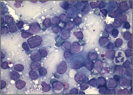 fig4.31.jpg