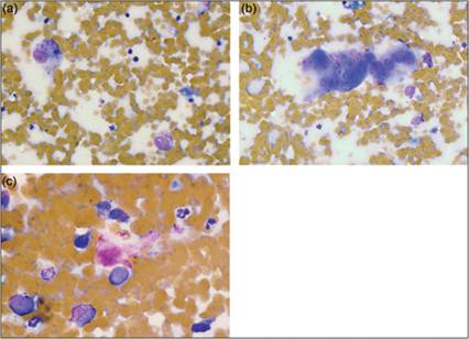 fig4.48a-c.jpg