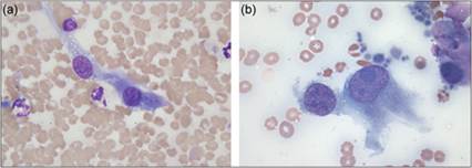 fig4.49ab.jpg