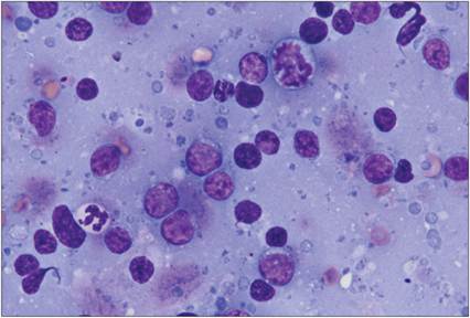 fig4.59.jpg