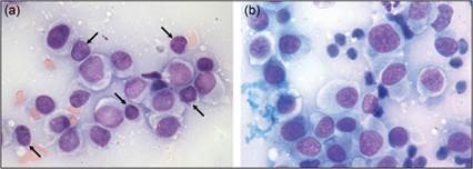 fig4.63ab.jpg