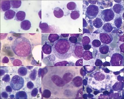 fig5.5.jpg