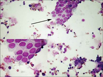 fig5.60.jpg