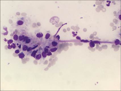 fig5.61.jpg