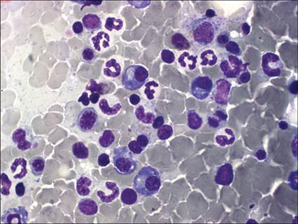 fig5.64.jpg