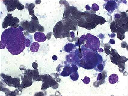 fig5.78.jpg