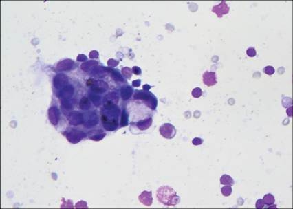 fig5.82.jpg