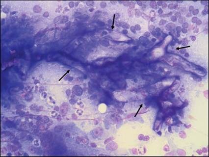 fig7.33.jpg