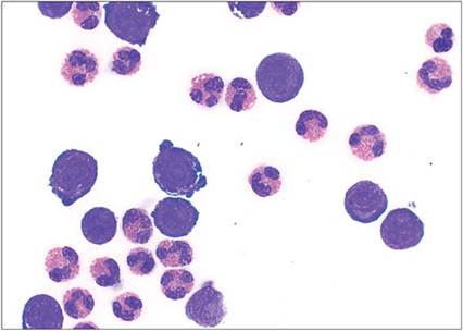 fig7.40.jpg