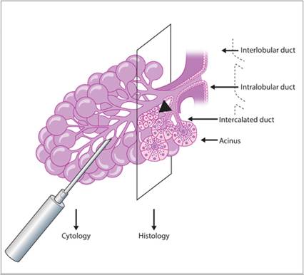 fig8.4.jpg