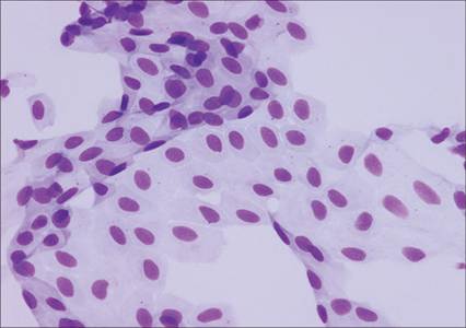 fig8.8.jpg