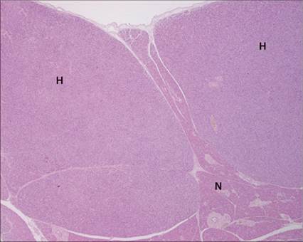 fig8.10.jpg