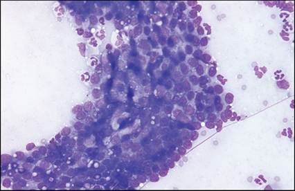 fig8.31.jpg