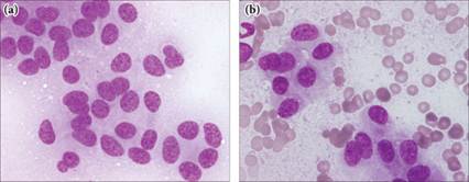 fig8.40.jpg