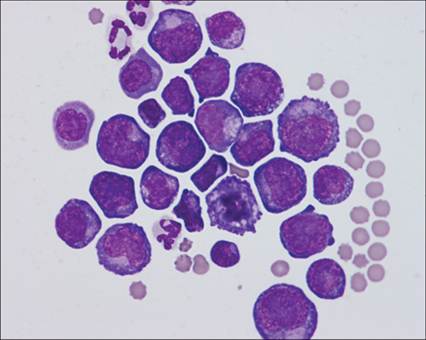 fig8.45.jpg