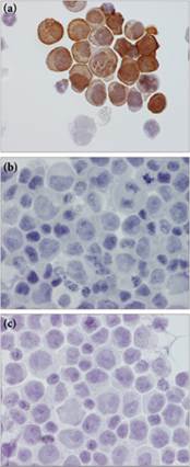 fig8.46.jpg