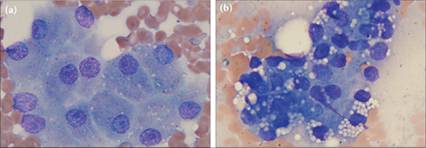 fig9.4A.jpg