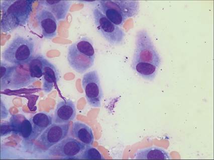fig9.5.jpg
