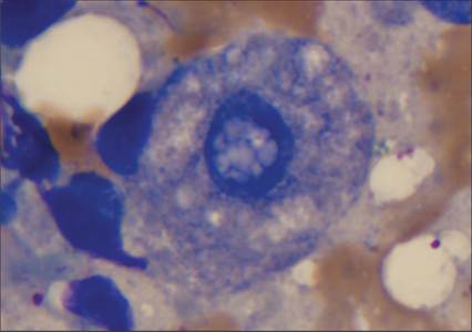 fig9.9.jpg