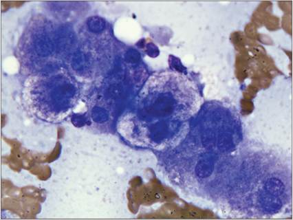 fig9.13.jpg