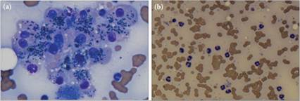 fig9.17A.jpg