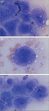 fig9.20A-C.jpg