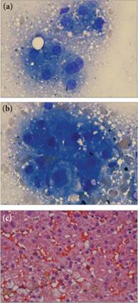 fig9.21A-C.jpg