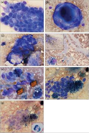 fig9.22A-G.jpg