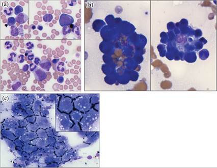 fig9.23A-C.jpg