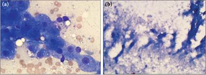 fig9.25aB.jpg